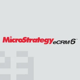 Microstrategy Ecrm